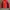 Fw 2015 Oakley Ultra Light Puffer Quilted Jacket tnf mammut photo 1
