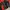 Fw 2015 Oakley Ultra Light Puffer Quilted Jacket tnf mammut photo 7