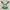 top sailor green fullprint floral coquette vintgae fairy rar photo 1