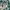 top sailor green fullprint floral coquette vintgae fairy rar photo 4