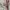 Sukajan Koi Art Long Sleeve photo 5