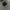Hoodie Kangol Born British  photo 3