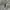 Hoodie Kangol Born British  photo 5