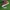Adidas spezial  photo 1