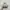 NIKE JORDAN 4 photo 3