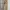 Loewe Cotton High Waist Cargo Pants Women photo 1