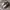 Adidas Yeezy photo 2