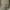 Adidas Yeezy photo 6