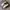 Adidas Yeezy photo 1