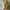 Adidas Yeezy photo 5