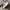 Adidas Yeezy photo 3