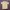 Adidas Sportswear T-shirt Pria Cream Yellow