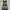 Dress Herve Leger Bodycon