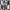 vans knu skool purple white photo 4
