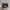 Adidas RETROPY E5 SHOES photo 4