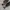 Adidas RETROPY E5 SHOES photo 6