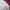 Unknown winter sherpa free size wanita P019 photo 6