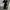 Cable Knit Dress Black Pressbody Bodycon Kepang Dress