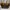 Louis vuitton neverfull brown monogram 2009 shoulder bag photo 2