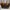 Louis Vuitton Neverfull Brown Monogram 2009 Shoulder Bag