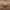Louis vuitton neverfull brown monogram 2009 shoulder bag photo 4