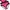 Fairy Emo Swimwear Wanita pink photo 5