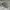 Reebok Vintage Minimalist Sneakers Pria green photo 3
