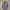 Austin Reed Kemeja Longsleeve Brand Formal Polkadot photo 3