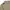 T*MY H1LF1G Cable Knit Sweater Cream  photo 3