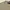 T*MY H1LF1G Cable Knit Sweater Cream  photo 6