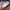 Jersey Arsenal Training Original Second photo 8