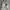Uniqlo mountain parka outdoor jacket gorpcore photo 5