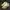 New Balance Sportswear Casual Sneakers Wanita yellow photo 1