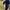 Yellow Navy Vintage Korean Korea Papaine Jumpsuit Size M/L
