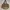 Shoulder Crossbody Canvas Brown Vintage photo 1