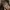Original Papillon Leather Shoulder Bag Brown photo 4