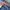 Denimpants Vans not Jnco photo 8