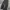 Cargo grey photo 5