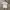 Tshirt KAPITAL JAPAN VINTAGE FARMY photo 1