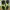 NB Fresh Foam x Hierro v7 photo 5