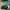 NB Fresh Foam x Hierro v7 photo 6