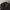 Ls / Ts LMC LOST MANAGEMENT CITIES Skena Stripe photo 2