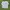 Nike Vintage Y2K Sweatshirt Pria gray photo 3