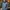 GUESS PARKA