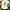 Gildan Vintage Casual T-shirt Pria white photo 4