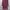 Forever 21 Maroon Dress photo 1
