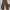 2000s XX Lab Brown baggy jeans photo 3
