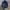 TNF Parka Jacket Navy Size Small photo 6