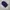 hodie ralph lauren bear  photo 7