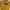 Dickies Kuning Yellow photo 2